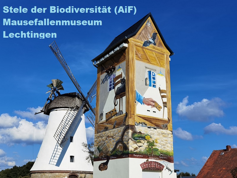 02005_HP_BL_Stele_der_Biodiversitaet_AiF_Mausefallenmuseum_Lechtingen.jpg